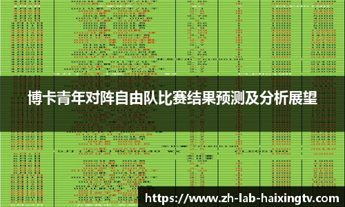 博卡青年对阵自由队比赛结果预测及分析展望