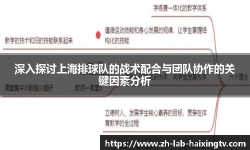深入探讨上海排球队的战术配合与团队协作的关键因素分析
